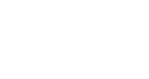 MSM LAND SYSTEMS